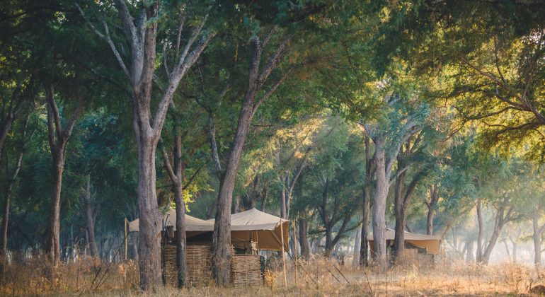 Kutali Camp Tents
