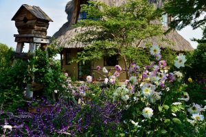 Olepangi House View