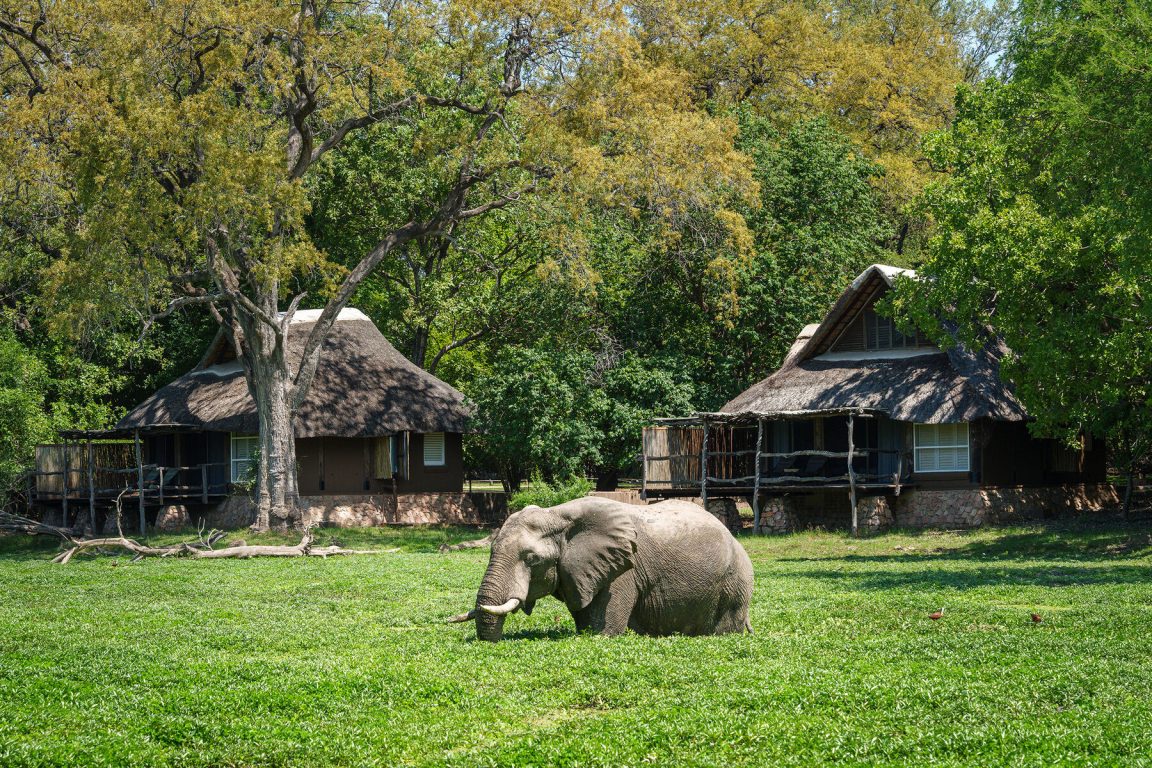 The Bushcamp Company Offer