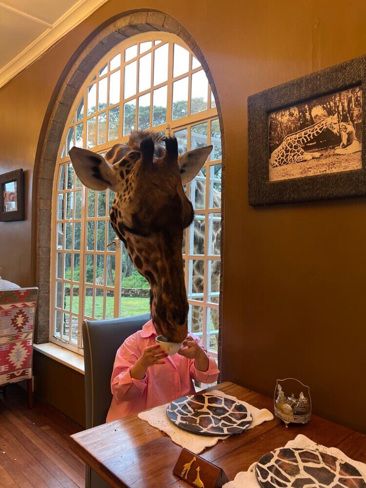 Giraffe Manor Asilia