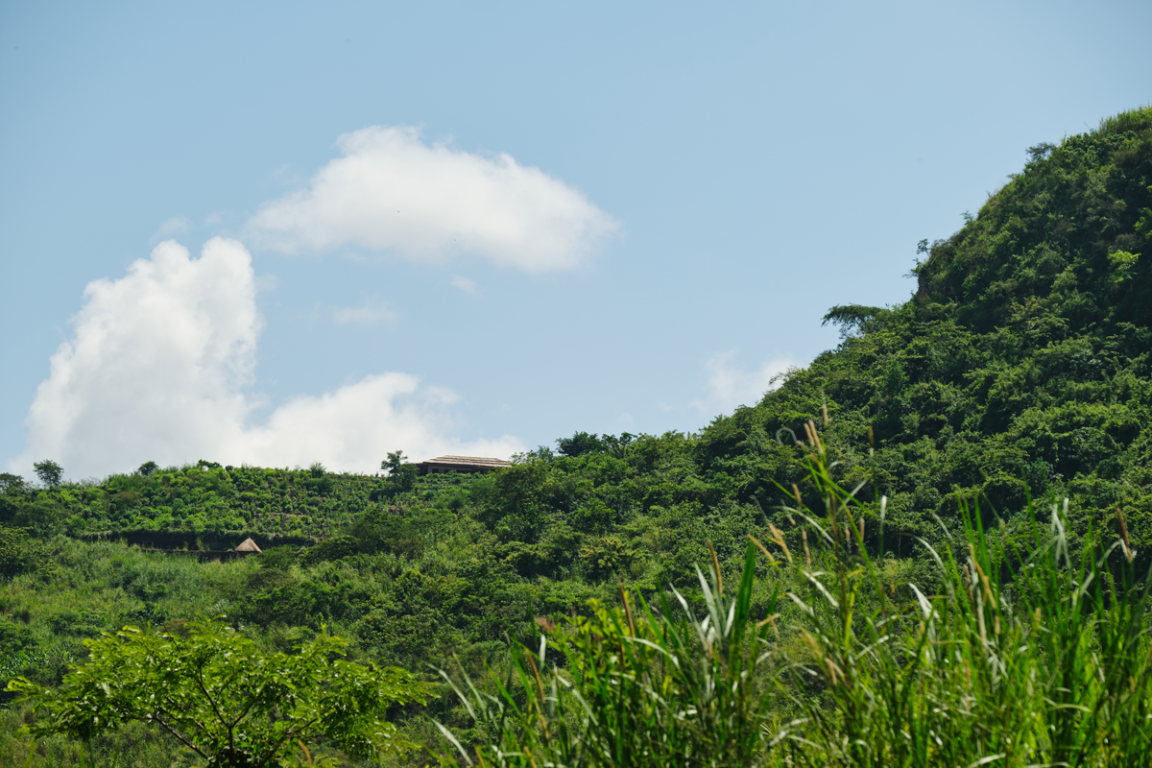 Kibale Logde View