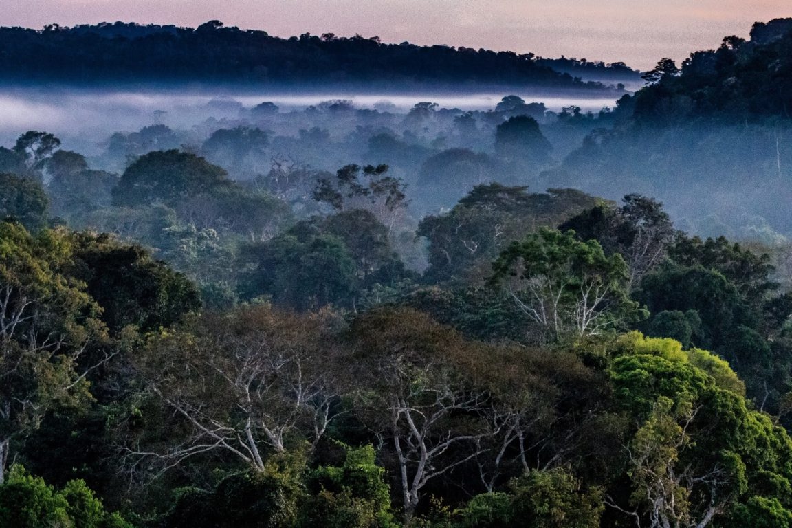 Brazil View