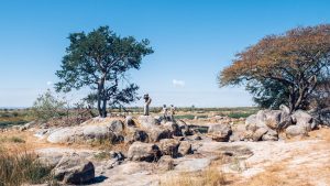 Usangu Expedition Camp Walks