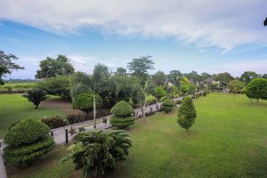 Musa Jungle Retreat Lawns