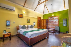 Musa Jungle Retreat Rooms