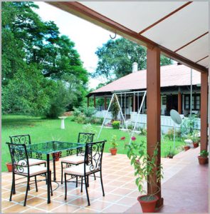 The Banyan Grove Outdoors