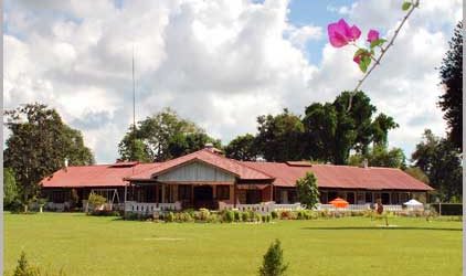 The Banyan Grove View