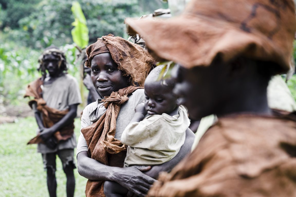 Uganda, Bwindi Impenetrable Forest, Gorilla Forest Camp