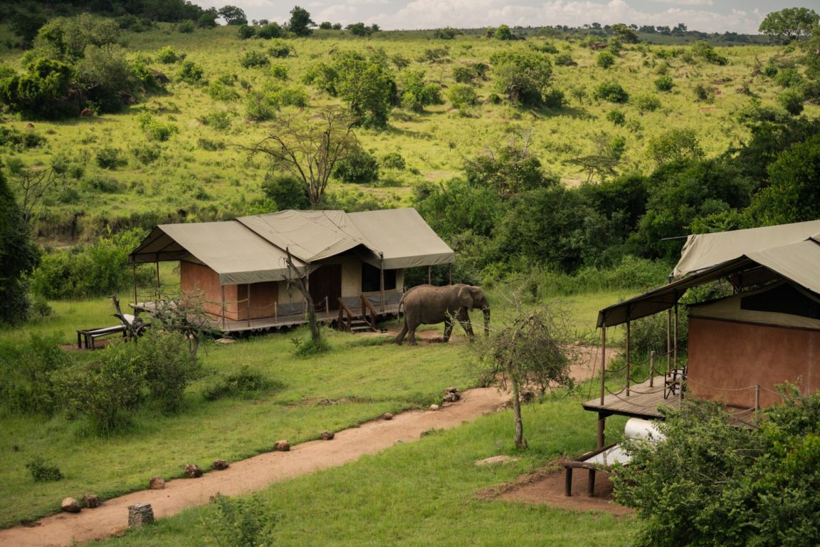 Elewana Serengeti Migration Camp Room View