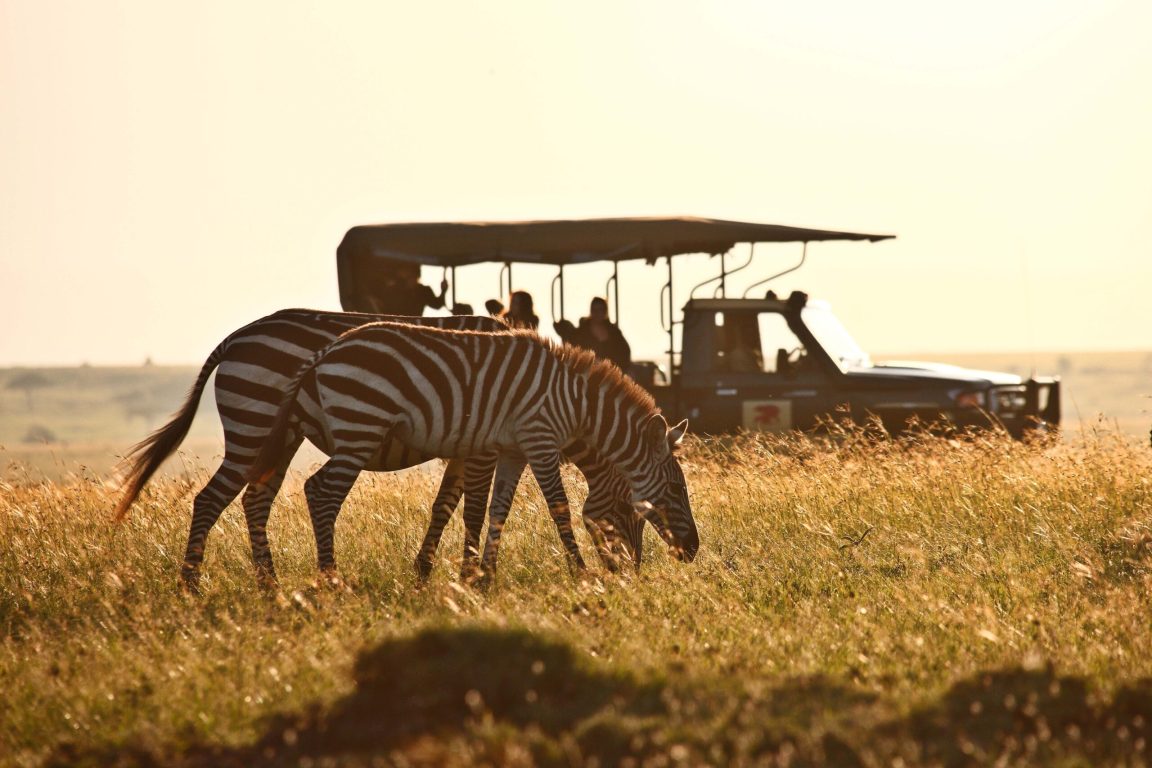 Game Drive