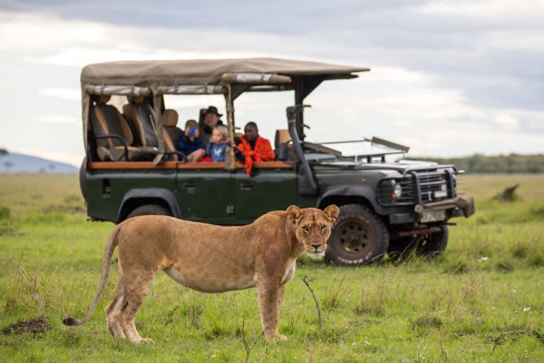 Game Drive