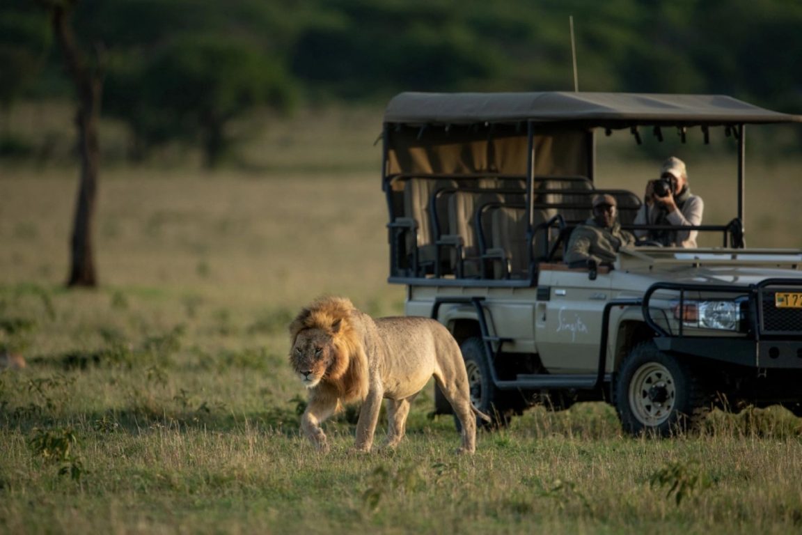 Game Drive Singita Milele