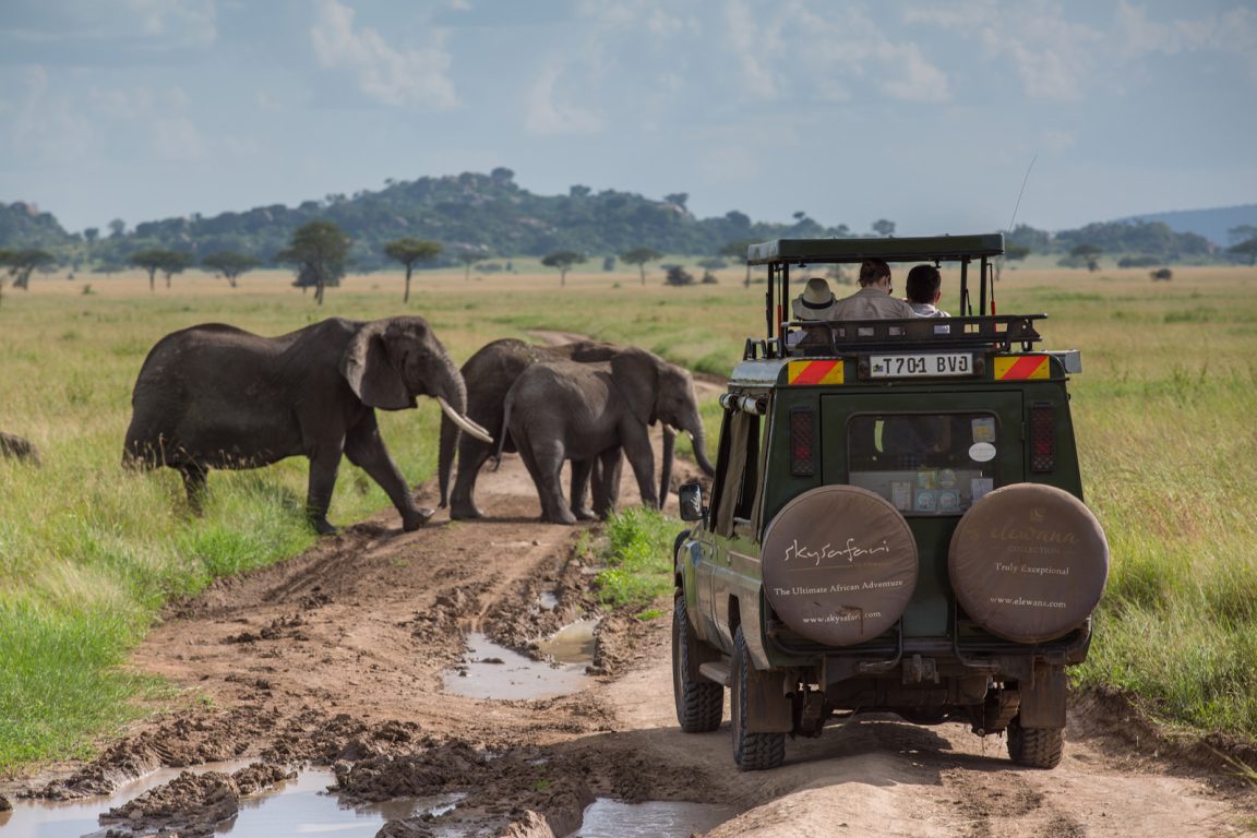 Game Drive In Serengeti
