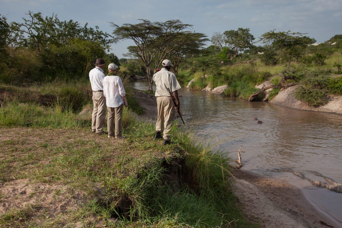 Guided Walks