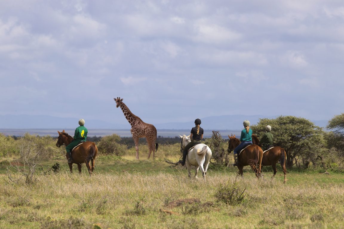 Horseback Riding