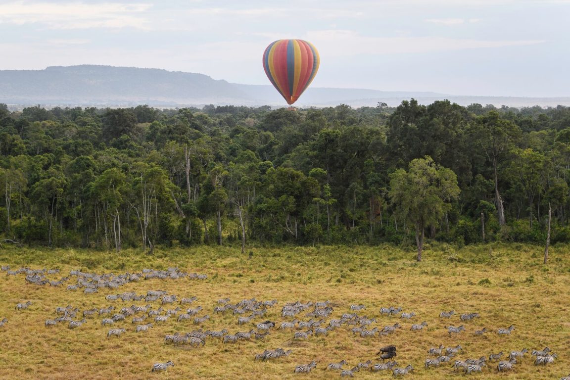 Hot Air Balloon View