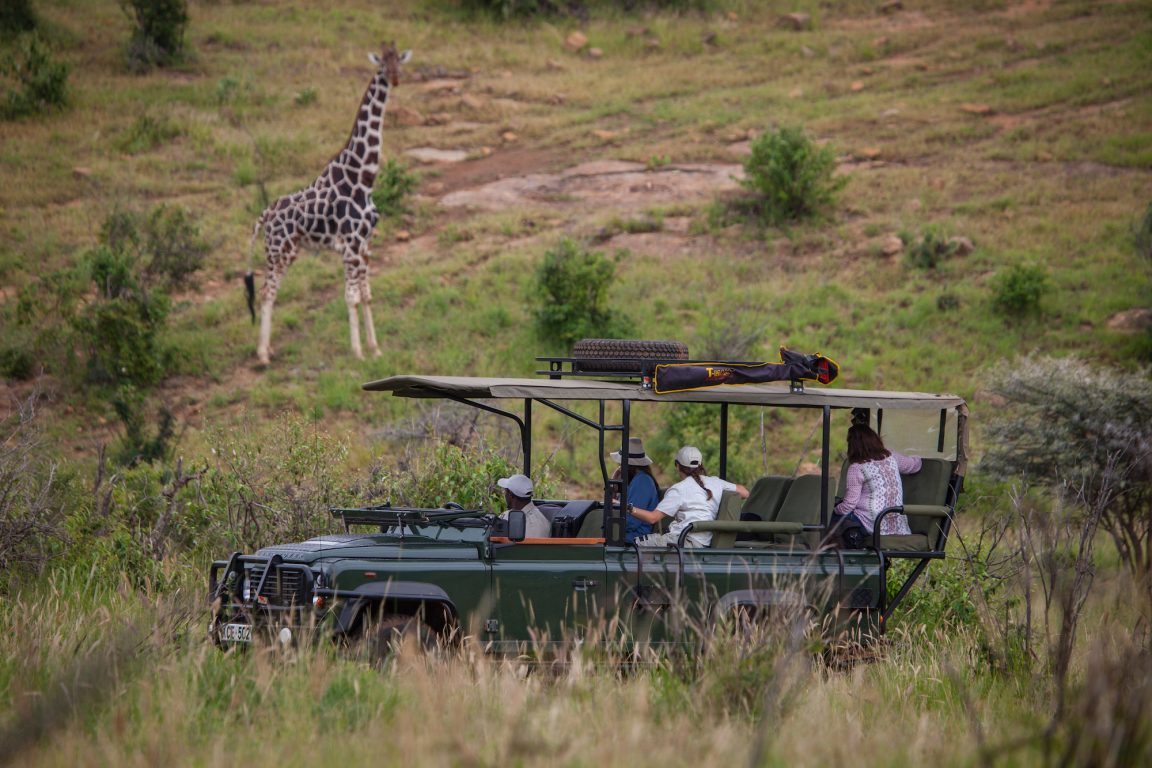 Mara Savanah Game Drive