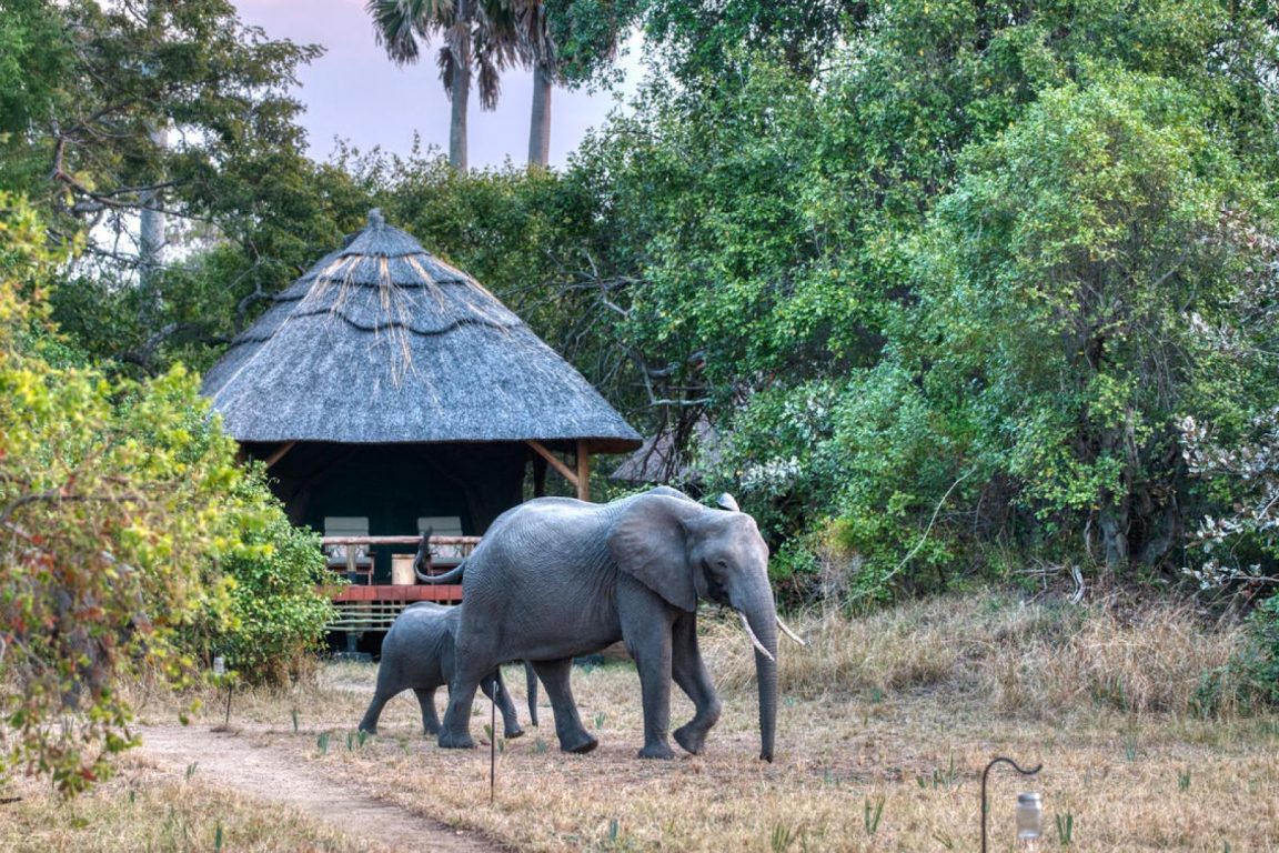 Mbali Mbali Katavi Guest Room Exterior