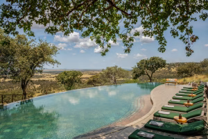 Melia Serengeti Lodge Poolside