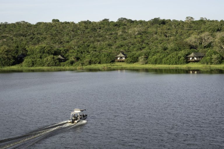Rwanda In Wilderness