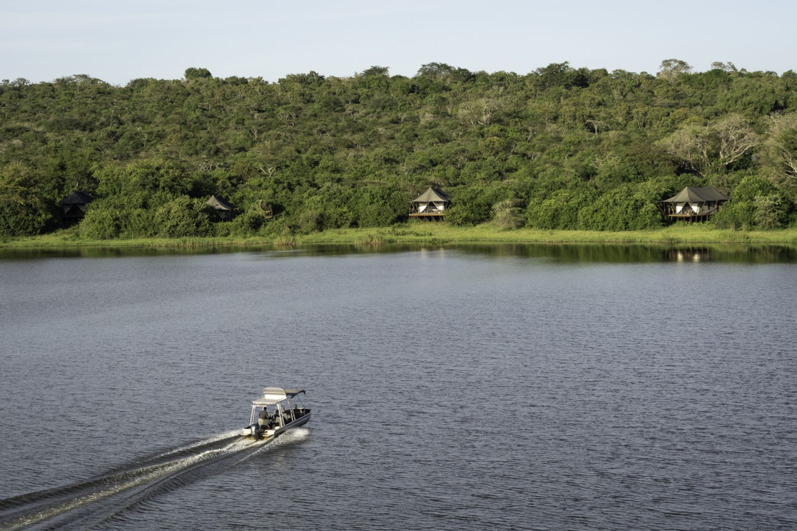 Rwanda Safari