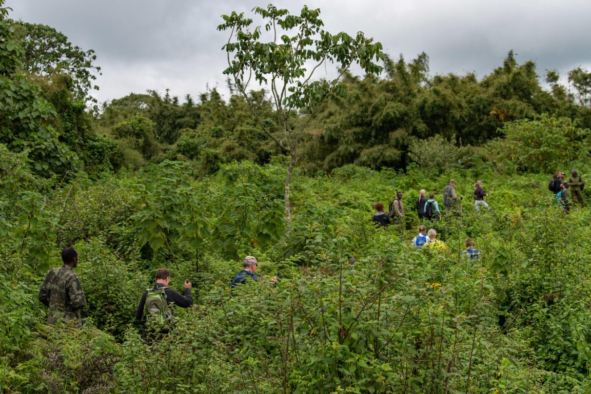 Sabyinyo Silverback Lodge Trekking
