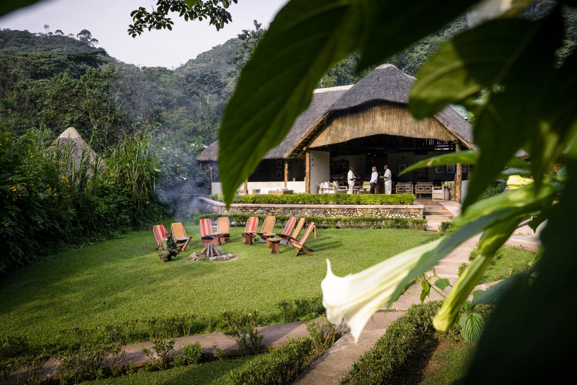 Uganda, Sanctuary Gorilla Forest Camp