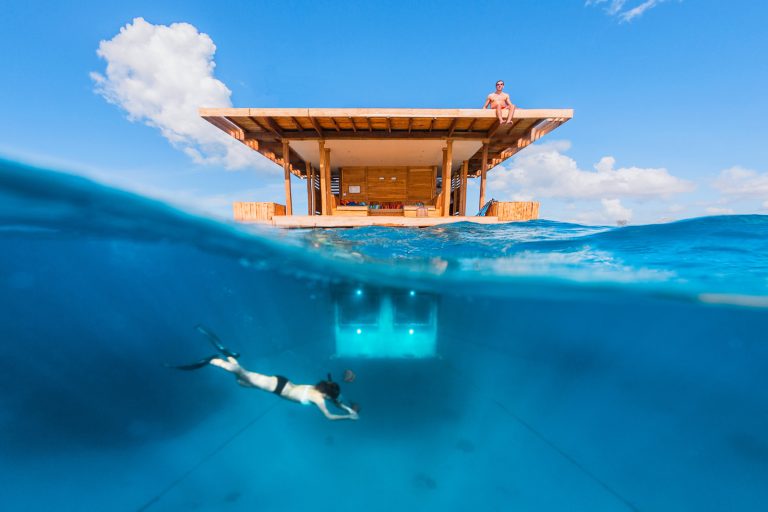 Sea Safari