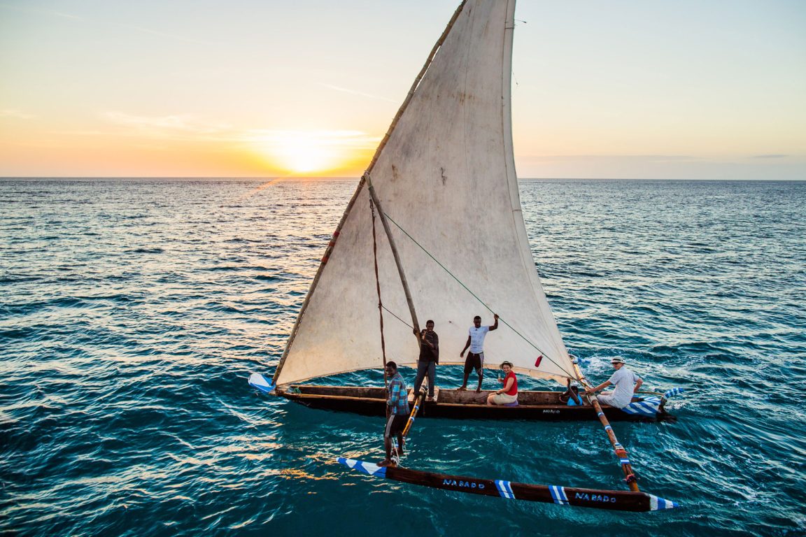 Sea Safari Activities