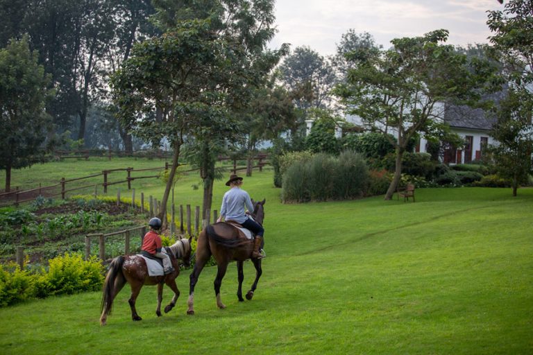Sky Safari East Africa