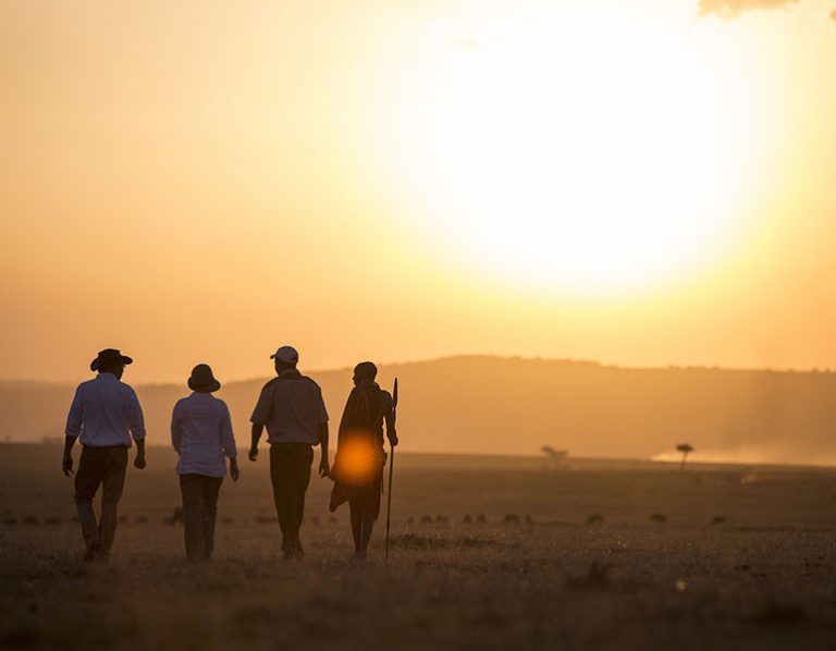 Swift Safari Bush Walk