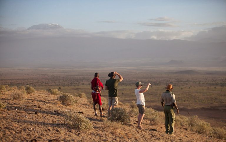 Walking Safari