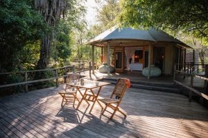 Muzimu Lodge Tent View