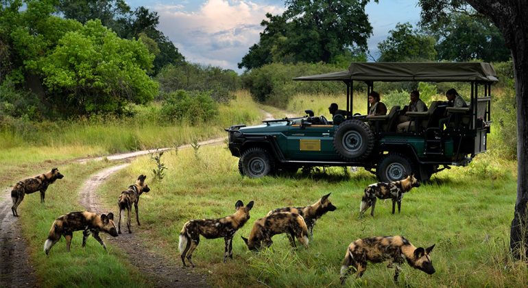 Mbamba Camp Game Drives