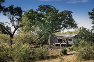 Linyanti Expeditions Luxury Tent