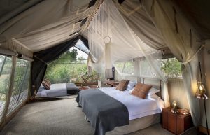 Linyanti Expeditions Tent