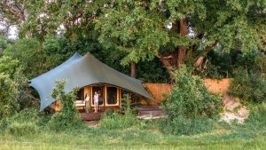 Maxa Tent