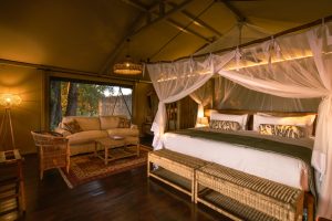 Maxa Tent Interior