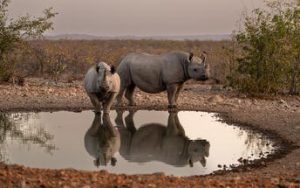 Best of Namibia: A Luxury Self-Drive Escapade