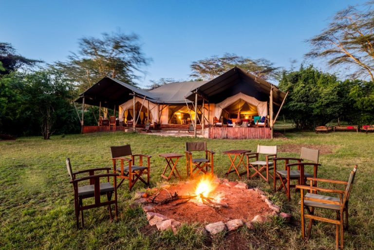 Instinct Of The Mara Campfire