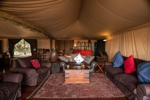 Instinct Of The Mara Lounge