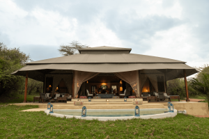 Instinct Of The Mara View
