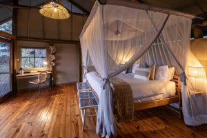 Mokolwane Guest Room