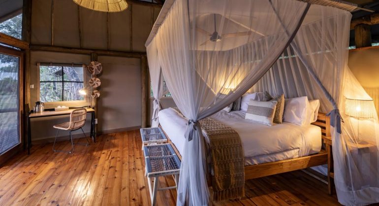 Mokolwane Guest Room