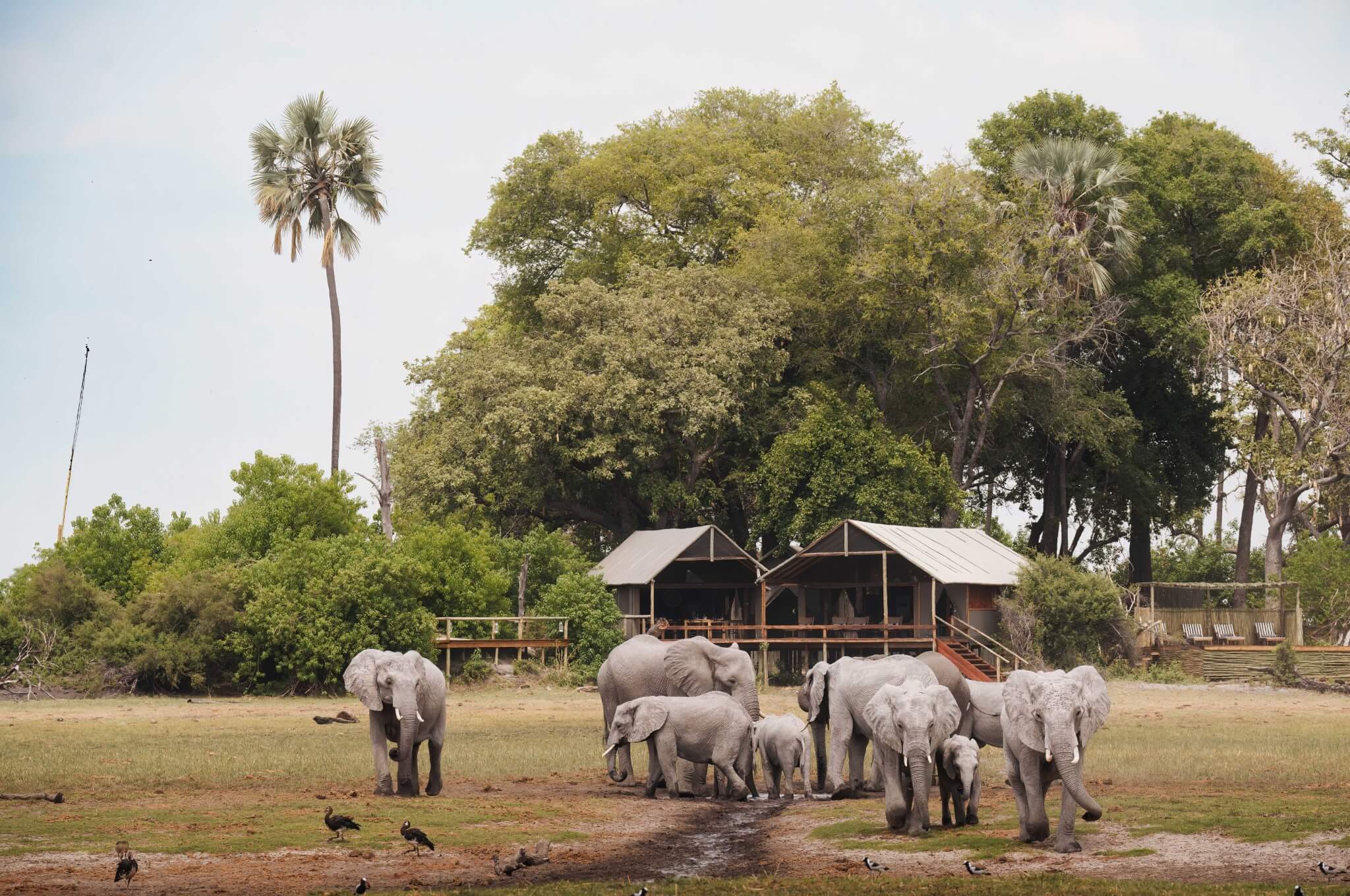 Mokolwane, Okavango Delta, Botswana
