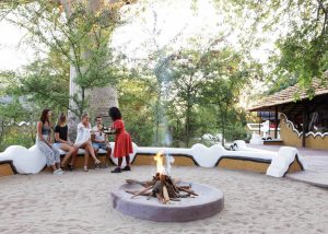 Planet Baobab Campfire