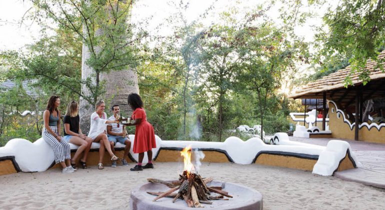 Planet Baobab Campfire