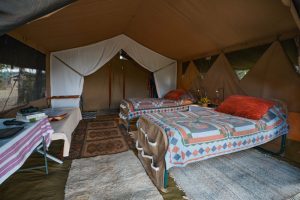 Roca River Camp Tent Interior