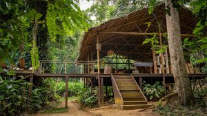 Camp Imbalanga Lounge And Dining Area