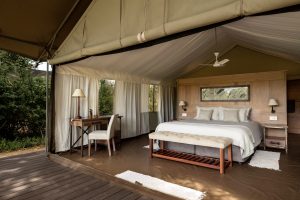 Ingwe Camp Tent